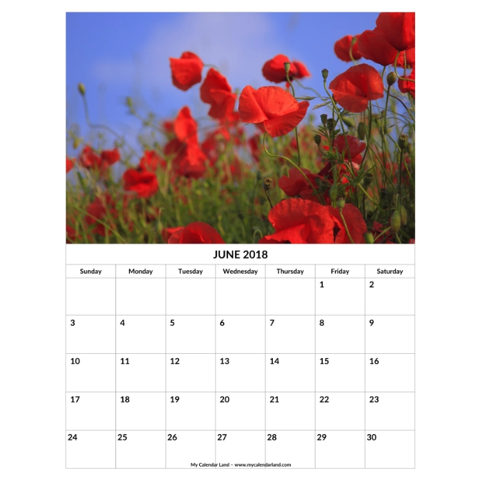 Calendarios - Image 2